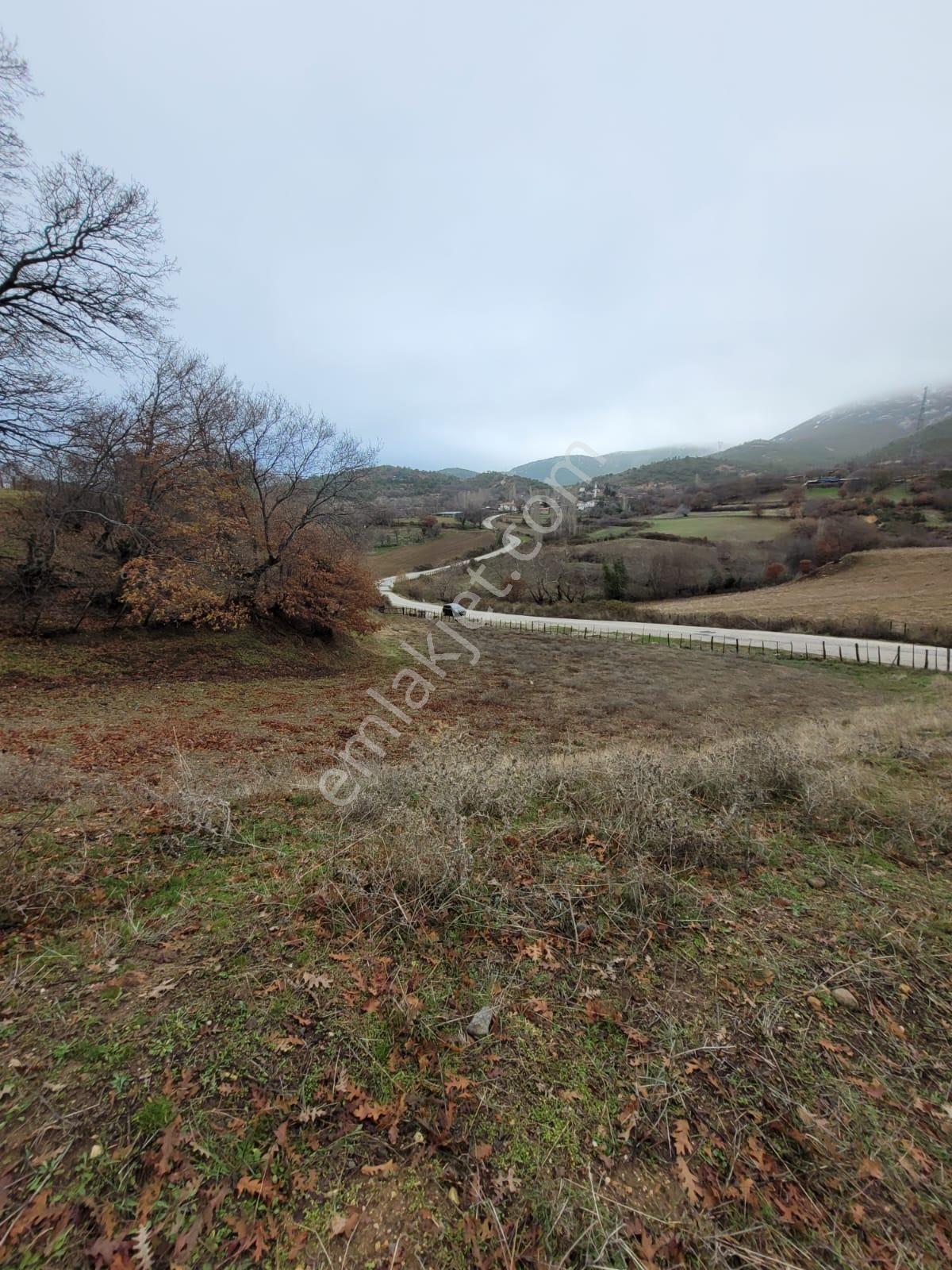 Bayramiç Yukarışapçı Köyü Satılık Tarla Yukarışapçı Da İmara Yakın Asfalt Cephelitarla