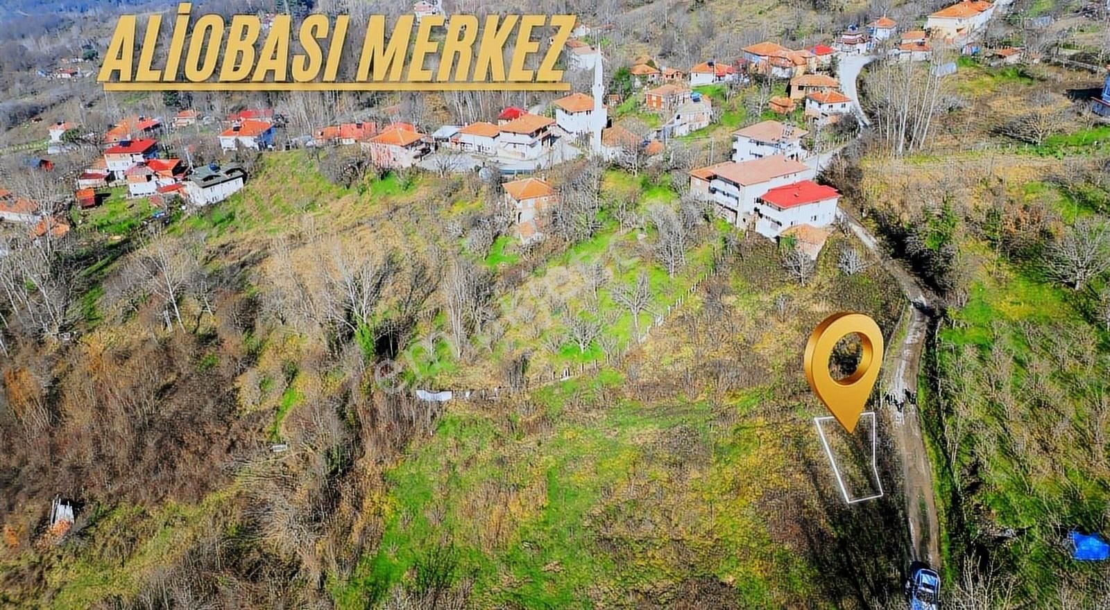 Amasra Aliobası Köyü (Merkez) Satılık Konut İmarlı Altın Emlaktan Satılık Aliobası Köyünde İmarlı Yol Kenarı Arsa