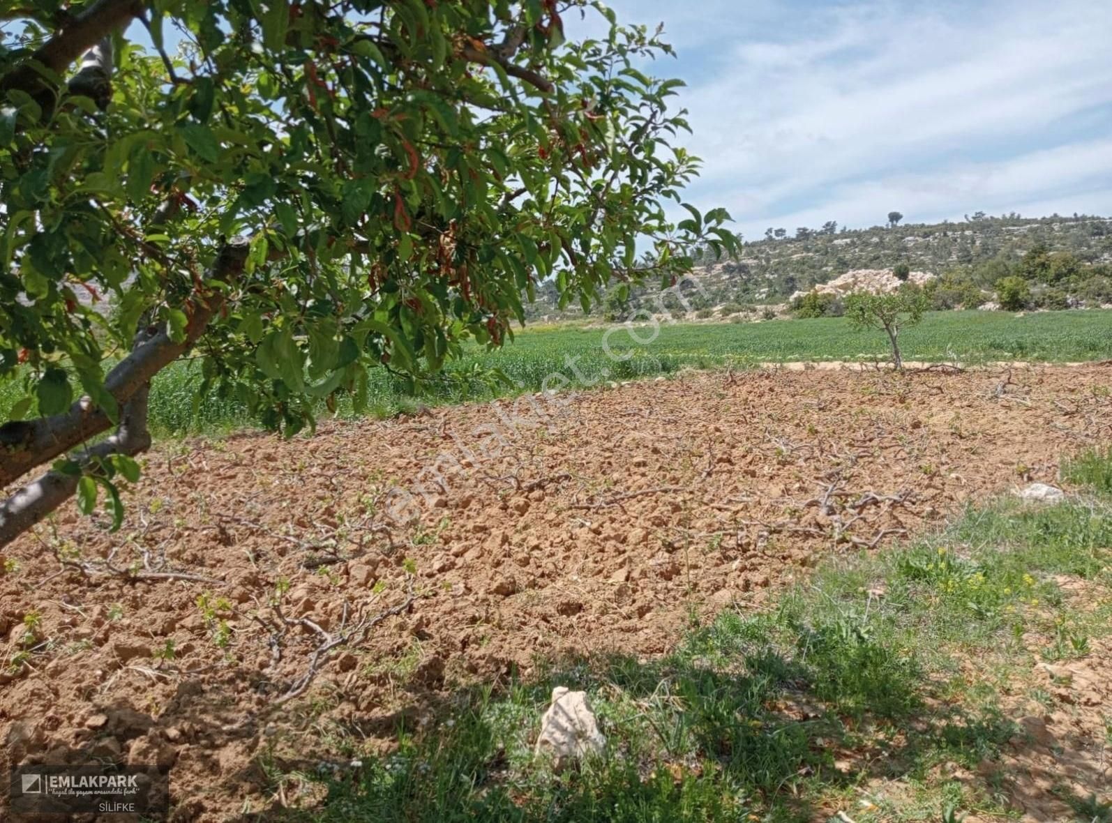 Gülnar Çavuşlar Satılık Bağ & Bahçe Emlakpark'tan Yola Sıfır Doğayla İç İçe Tarla