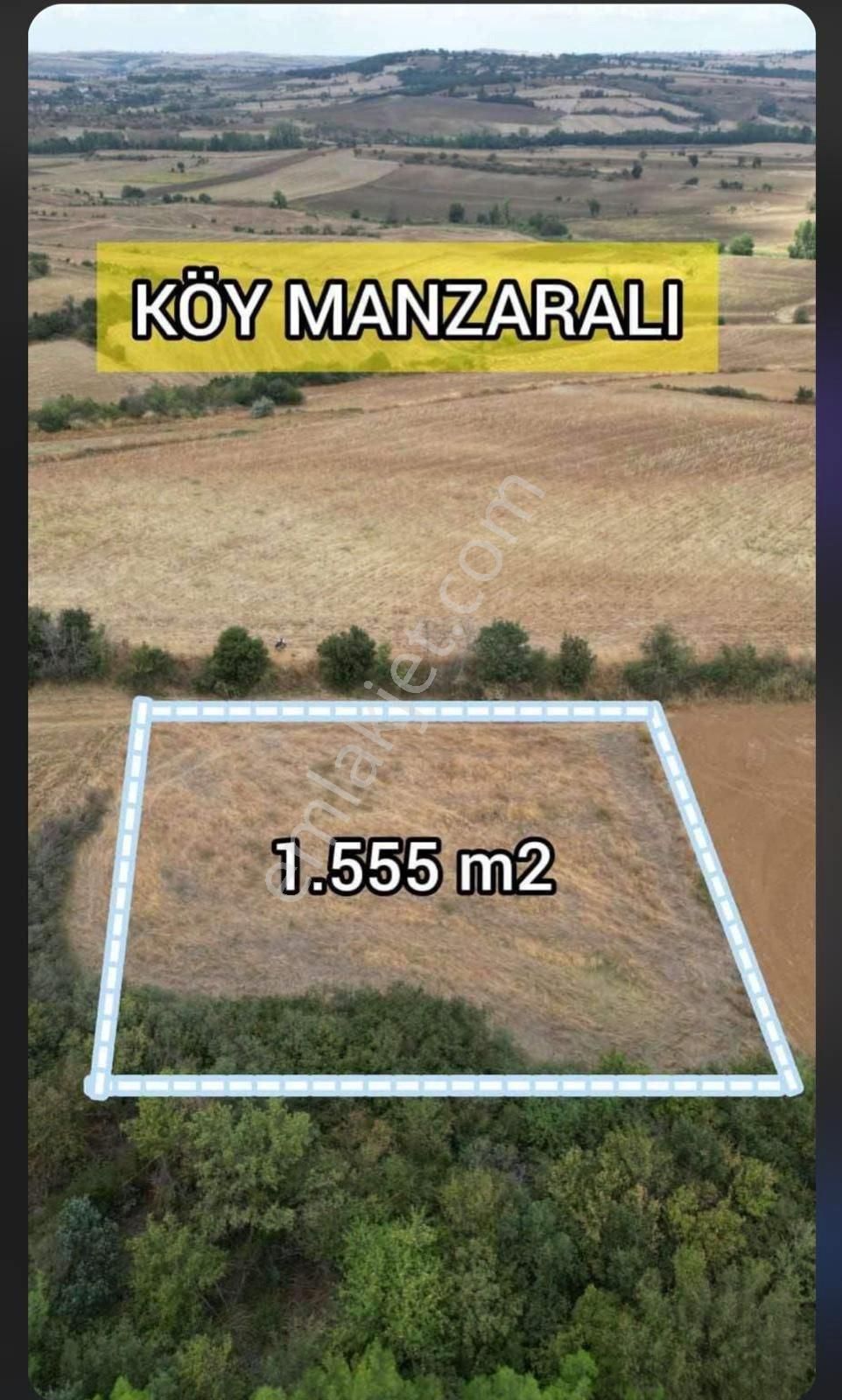 Malkara Kalaycı Satılık Tarla Satılık Tarla Tekirdağ Malkara'da Müstakil Tek Tapu 1555 M²