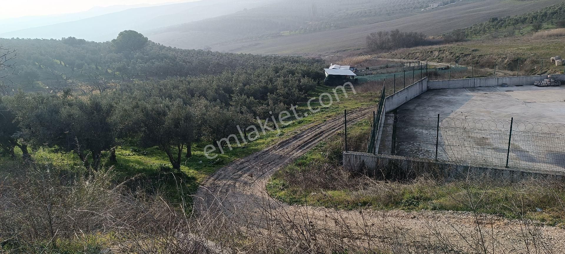 Mudanya Ülkü Satılık Tarla Mudanya Ülkukoy Girisi Nde Hobi Bahçesi