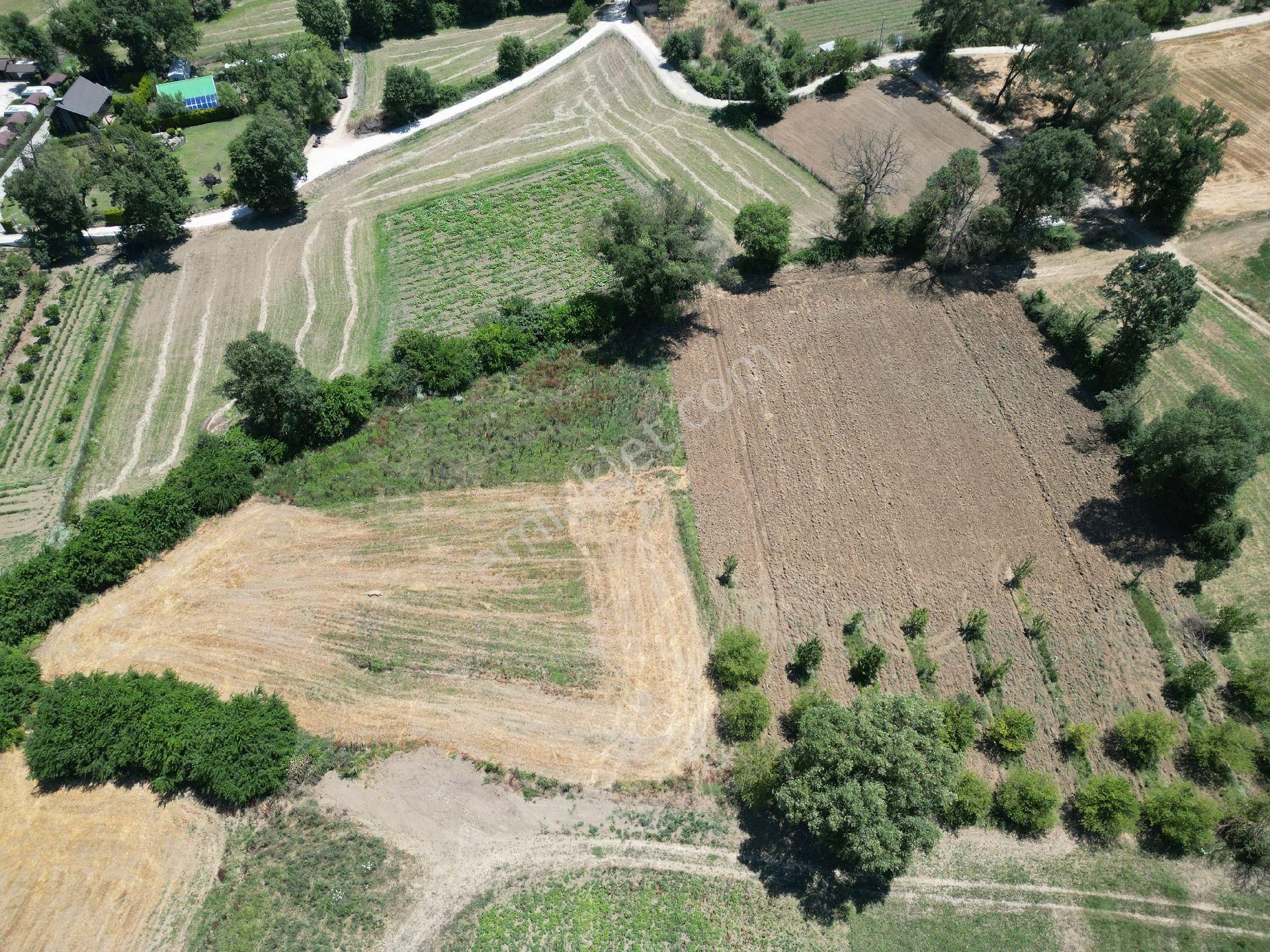 Nilüfer Alaaddinbey De 4075 M2 Tek Tapu Satılık Arazi - Görsel 29