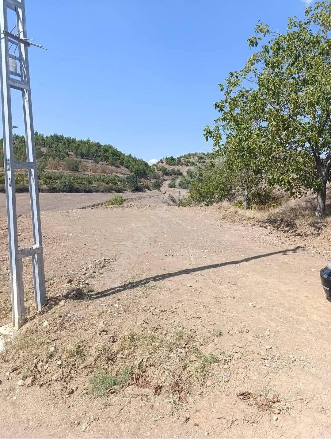 Suluova Yolpınar Köyü Satılık Konut İmarlı Satılık Hobi Bahçesi