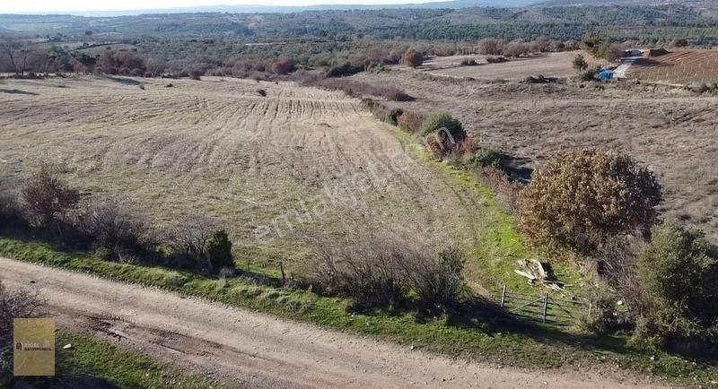 Bayramiç Çatalçam Köyü Satılık Tarla Çanakkale Bayramiç İlçesinde 11 Dönüm Tarla