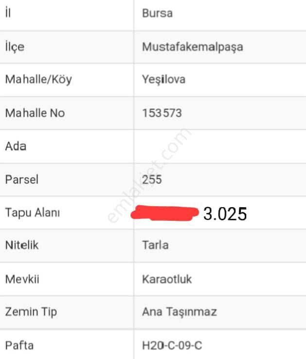 Mustafakemalpaşa Yeşilova Satılık Tarla Bursa Yeşilova Fırsat Yeri