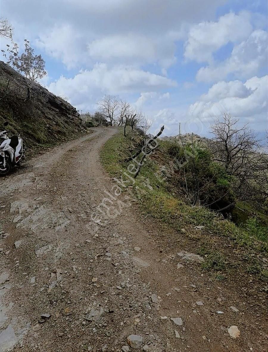 Doğanay Emlaktan İzmir Tirede Ceviz Kestane Bahçesi - Görsel 3