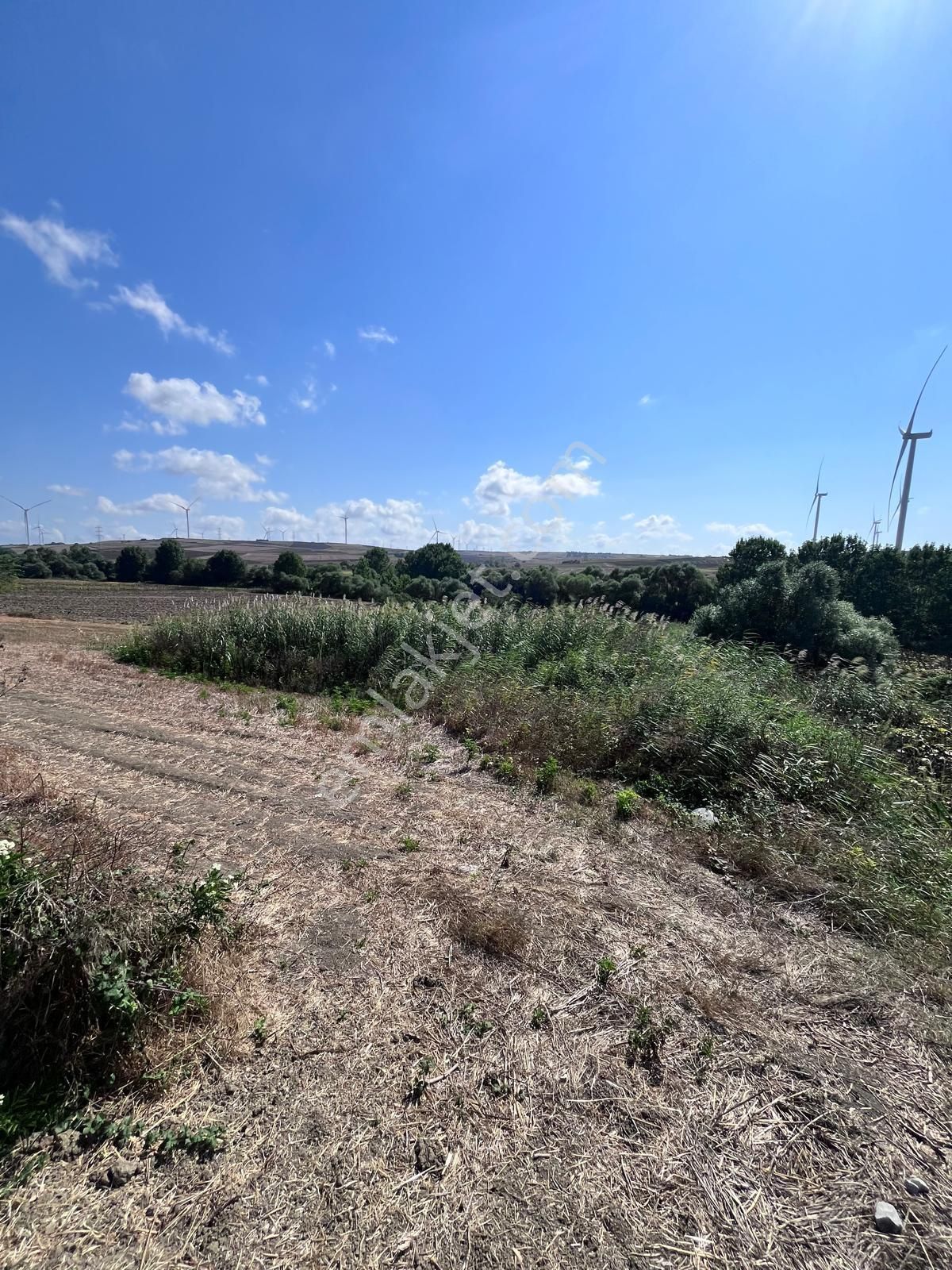 Büyükkılıçlı'da Uygun Fiyatlı 8817 M2 Yatırımlık Tarla - Görsel 22