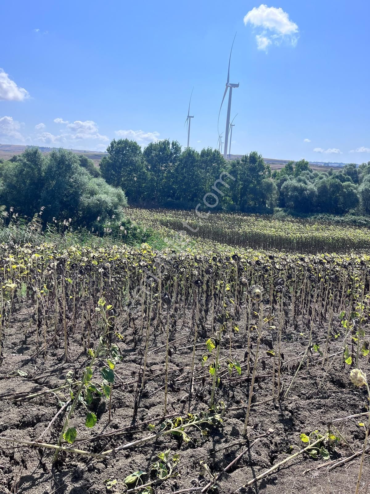 Büyükkılıçlı'da Uygun Fiyatlı 8817 M2 Yatırımlık Tarla - Görsel 6