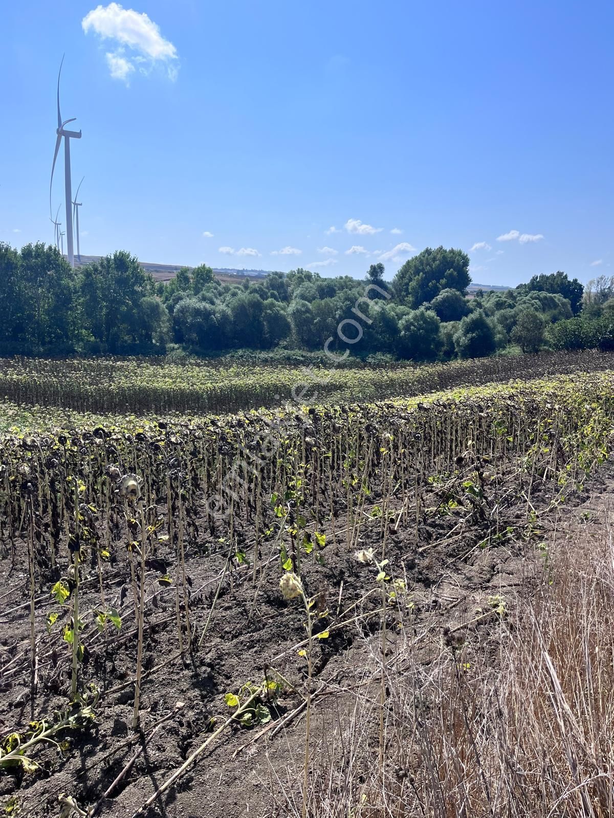 Büyükkılıçlı'da Uygun Fiyatlı 8817 M2 Yatırımlık Tarla - Görsel 8