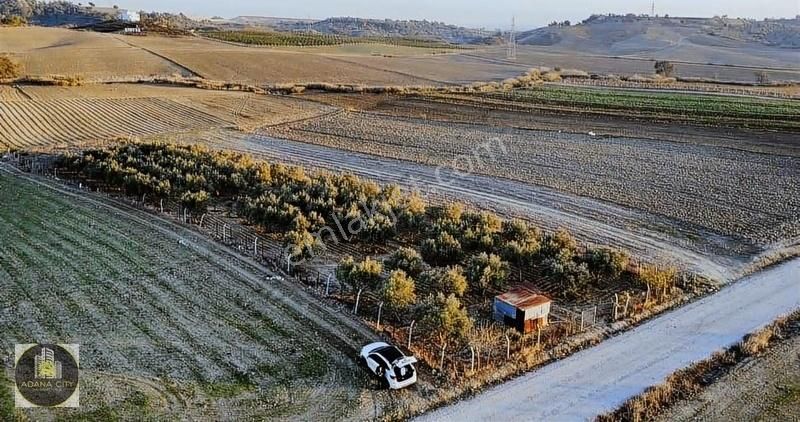 Çukurova Gökkuyu Satılık Tarla Tek Tapu! Asfalt Üstü Prefabrik Ev Yapımına Uygun Ekili Bahçe