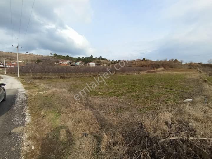 Buldan Yayla Satılık Bağ & Bahçe Mirac Emlaktan Denizli Buldan Yayla Da İmara Yakın 4 Dönüm Arazimiz Satılıktır