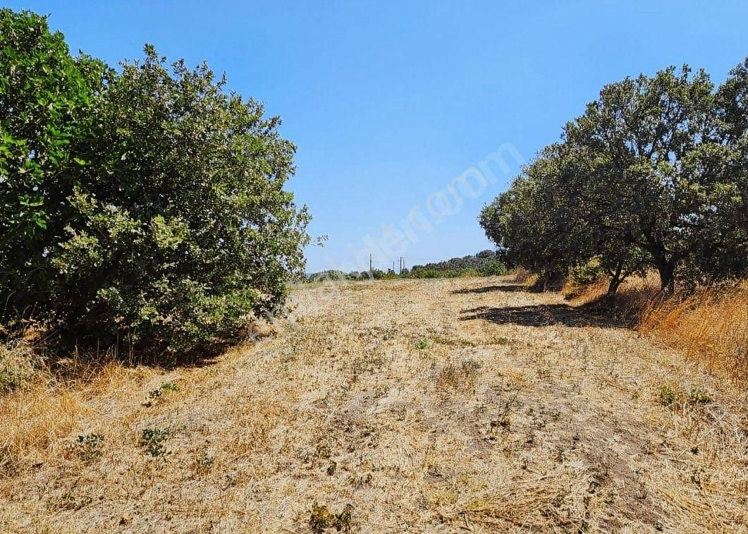 Yolçatı Da 2560 M2 Manzaralı Müstakil Parsel Arazi - Görsel 3