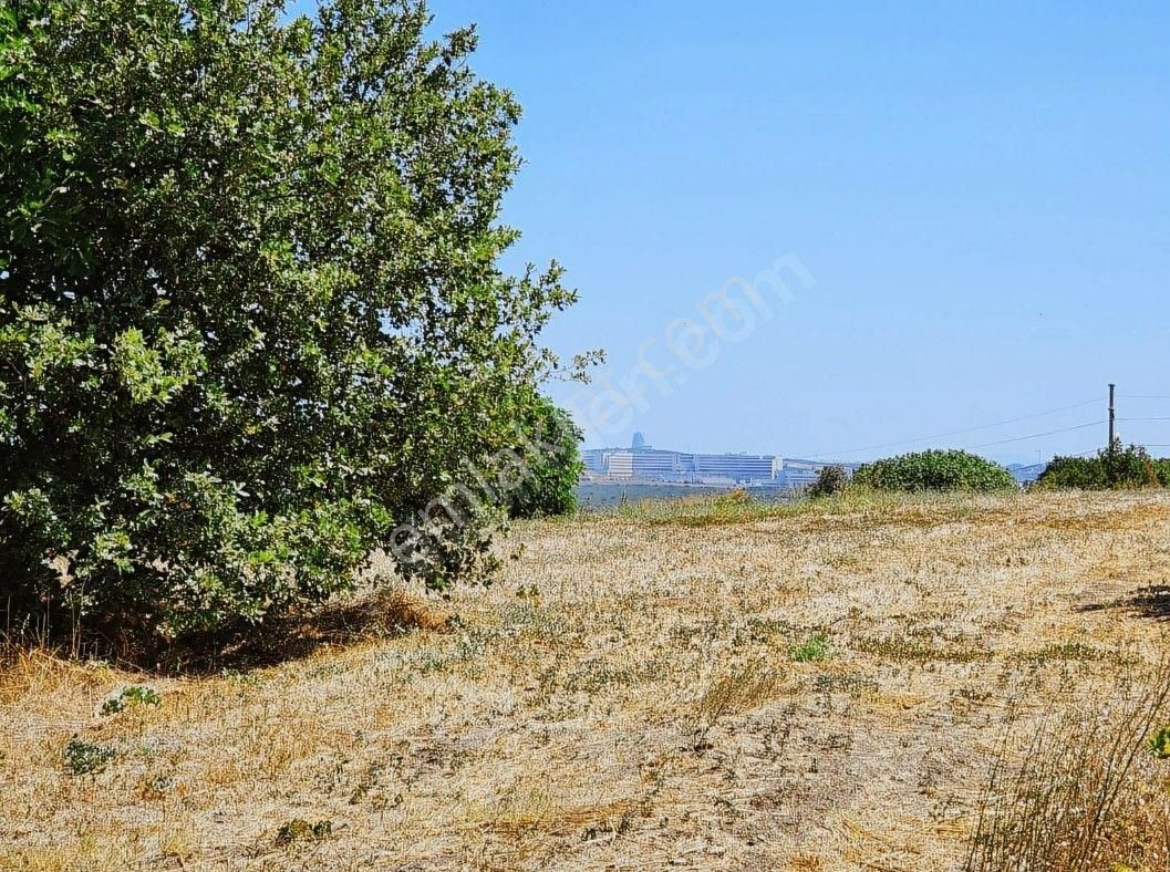 Yolçatı Da 2560 M2 Manzaralı Müstakil Parsel Arazi - Görsel 2