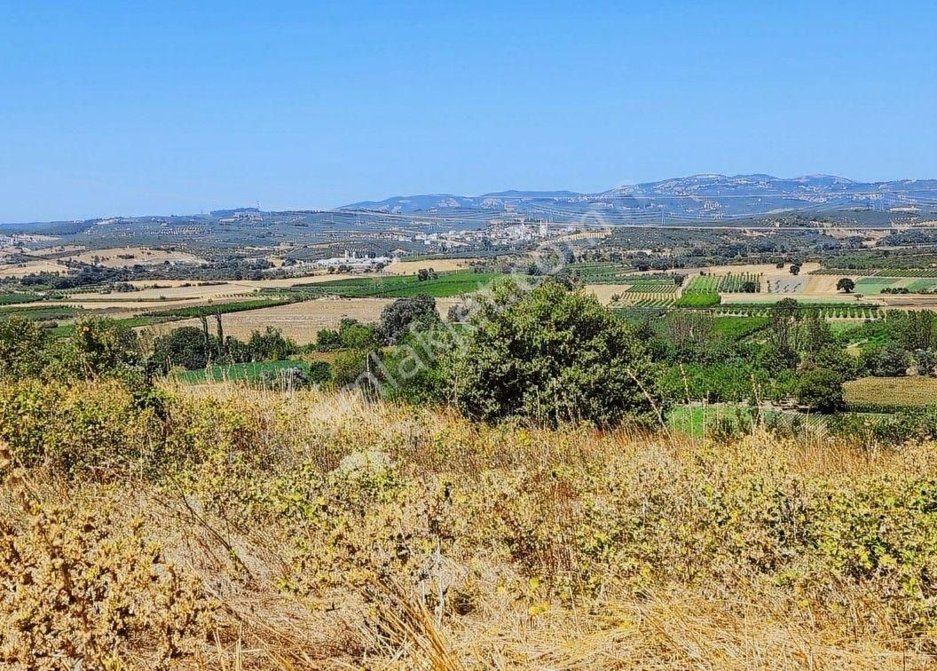 Yolçatı Da 2560 M2 Manzaralı Müstakil Parsel Arazi - Görsel 7