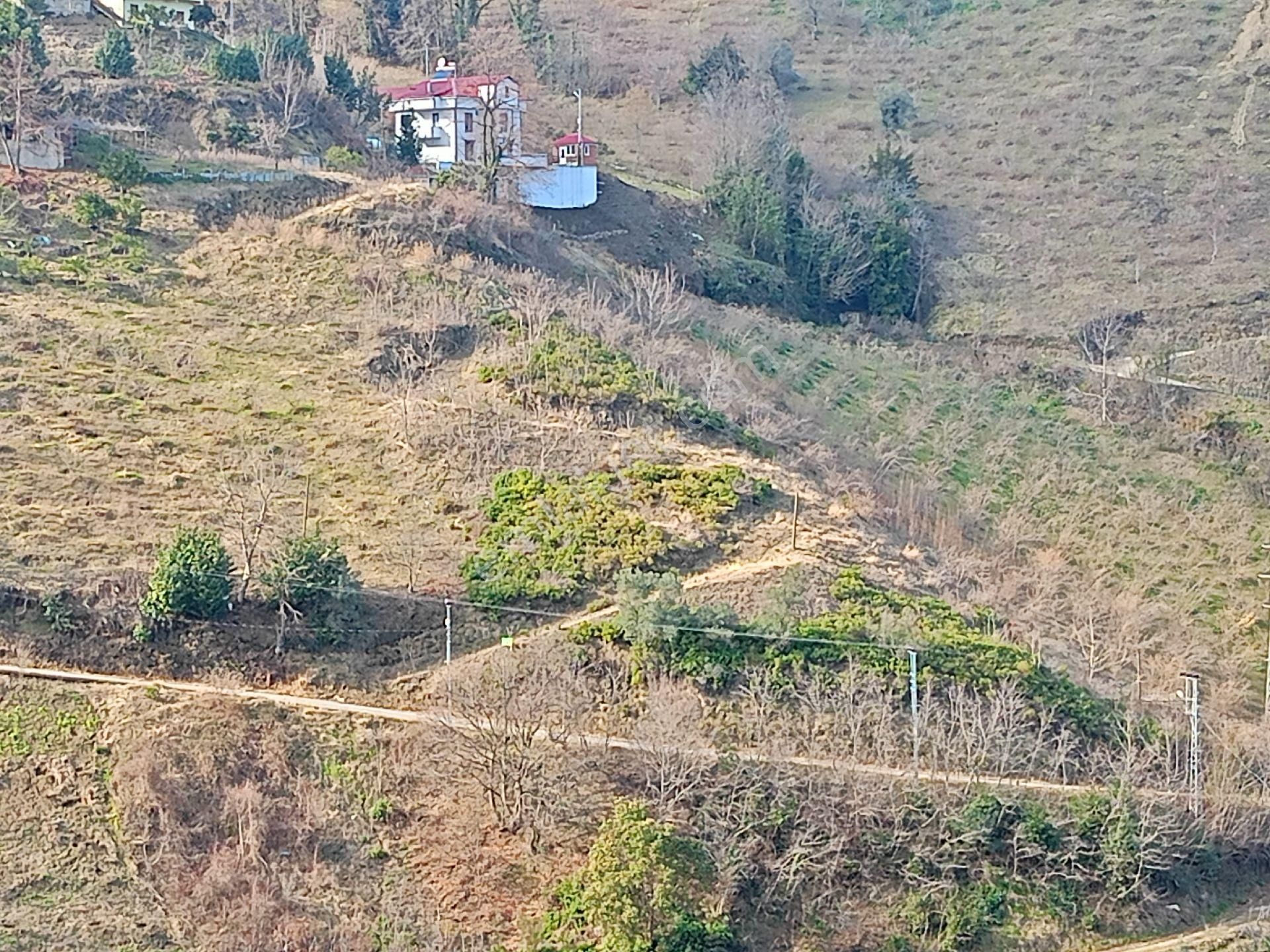 Akçaabat Darıca' Da Satılık Deniz Manzaralı 2189 M2 Villalık Arazi - Görsel 6