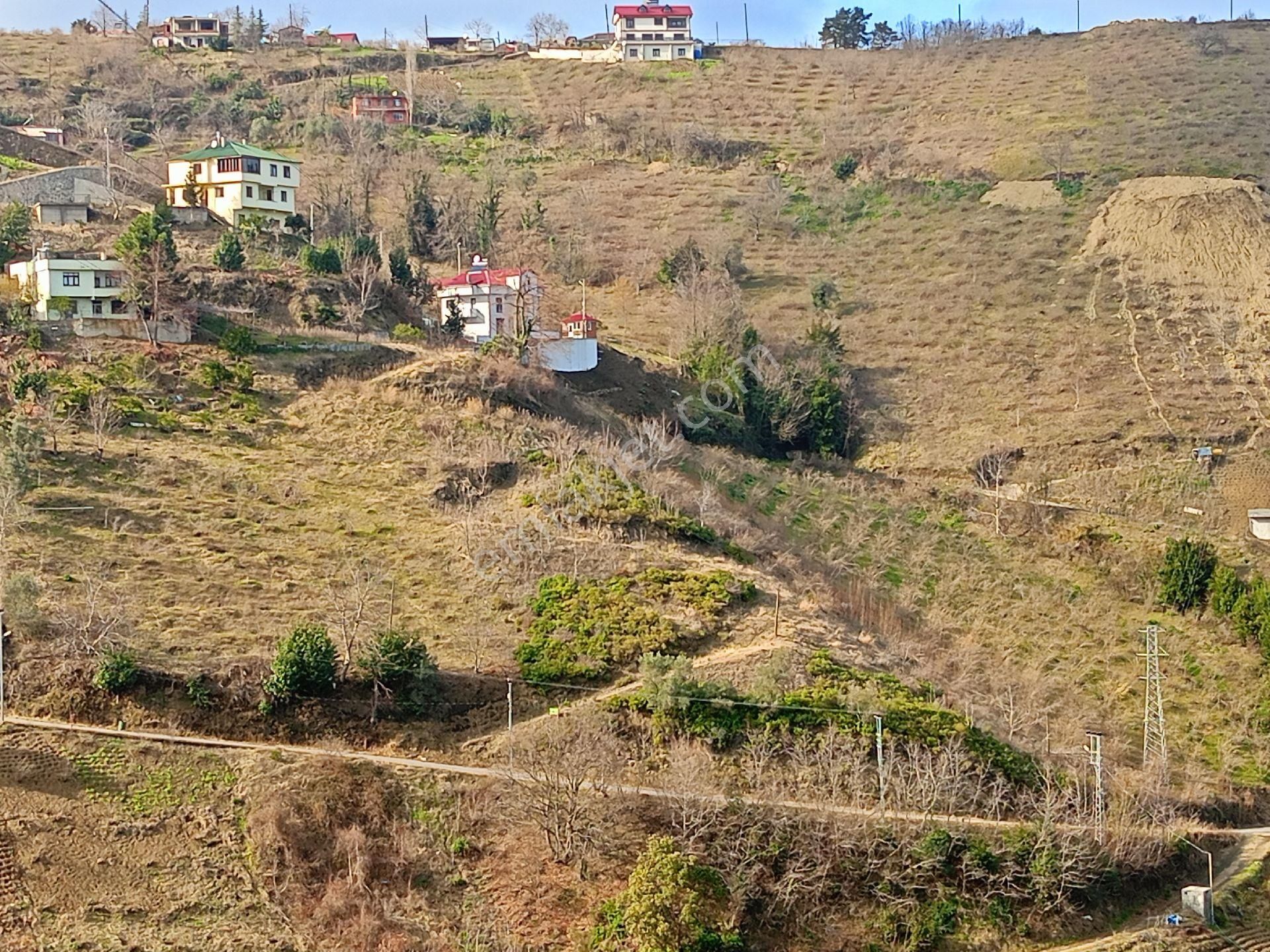 Akçaabat Darıca' Da Satılık Deniz Manzaralı 2189 M2 Villalık Arazi - Görsel 15