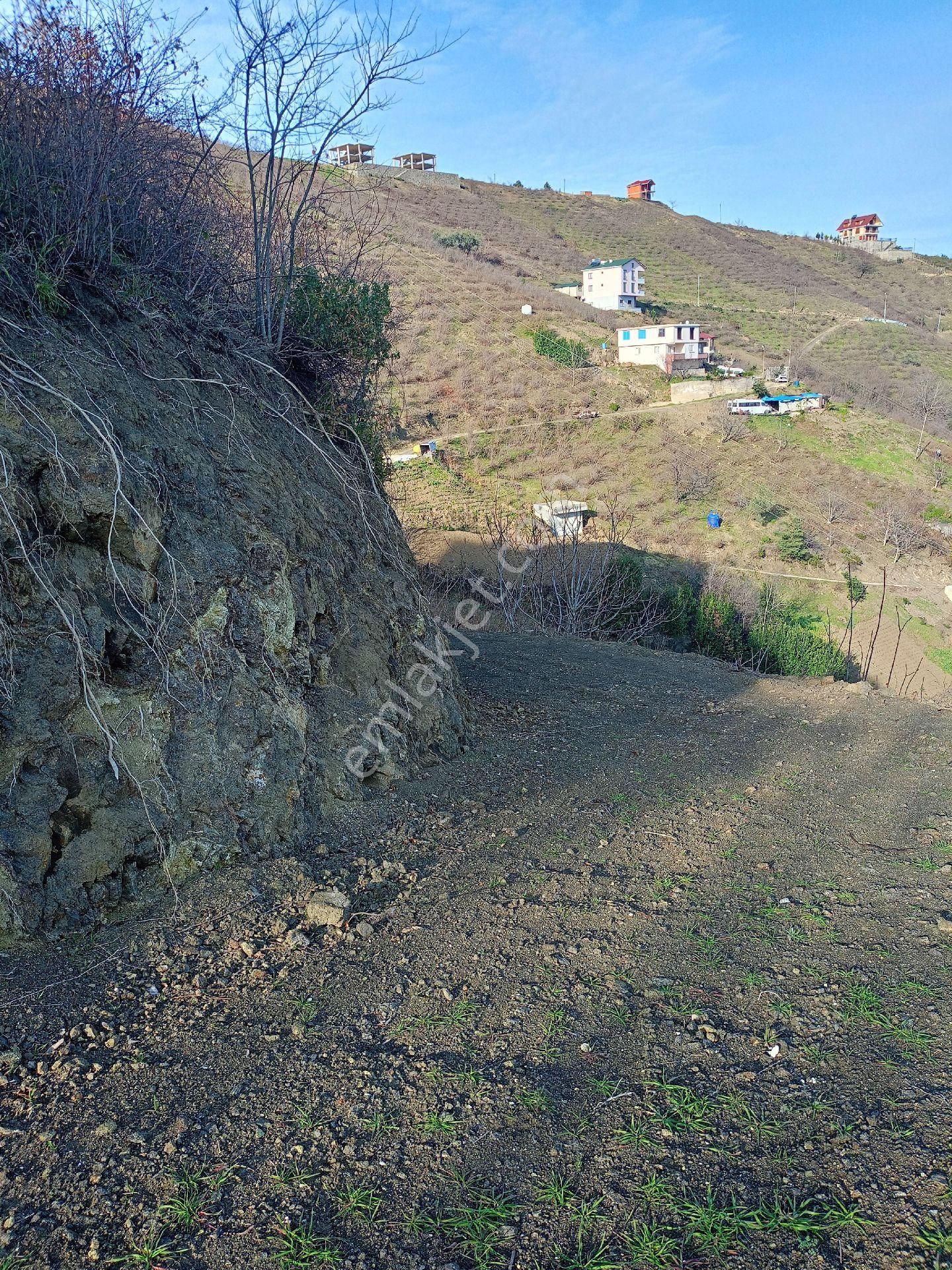 Akçaabat Darıca' Da Satılık Deniz Manzaralı 2189 M2 Villalık Arazi - Görsel 7
