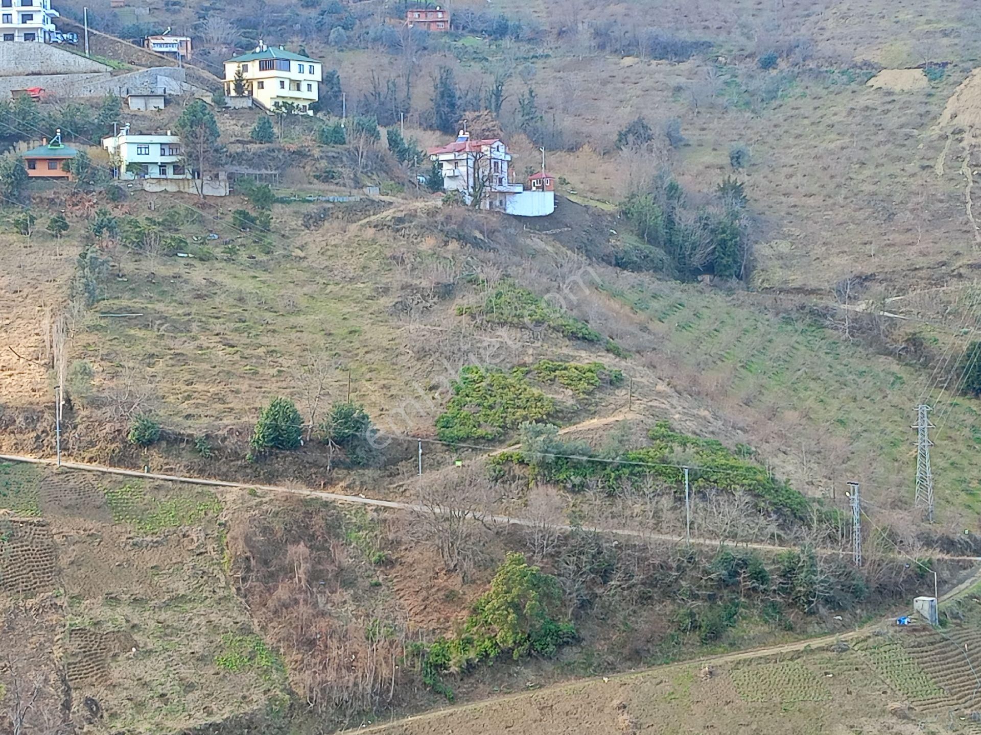 Akçaabat Darıca' Da Satılık Deniz Manzaralı 2189 M2 Villalık Arazi - Görsel 3