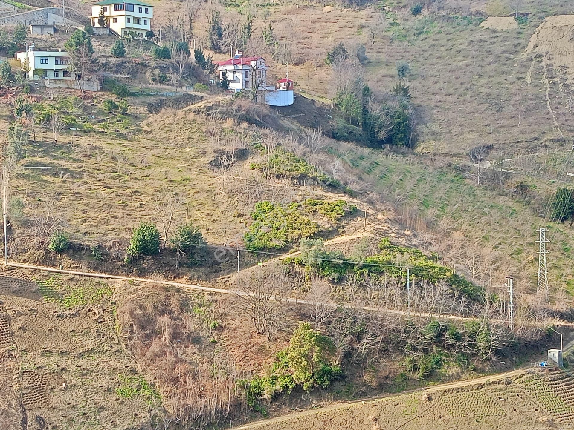 Akçaabat Darıca' Da Satılık Deniz Manzaralı 2189 M2 Villalık Arazi - Görsel 14