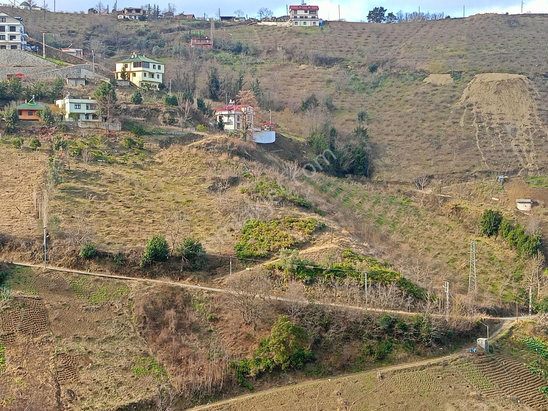 Akçaabat Darıca' Da Satılık Deniz Manzaralı 2189 M2 Villalık Arazi - Görsel 4