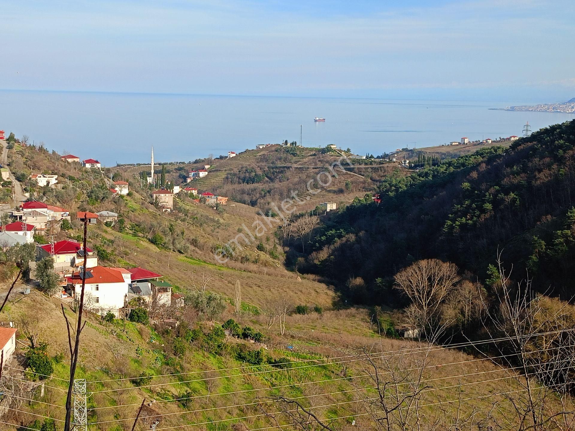 Akçaabat Darıca' Da Satılık Deniz Manzaralı 2189 M2 Villalık Arazi - Görsel 8