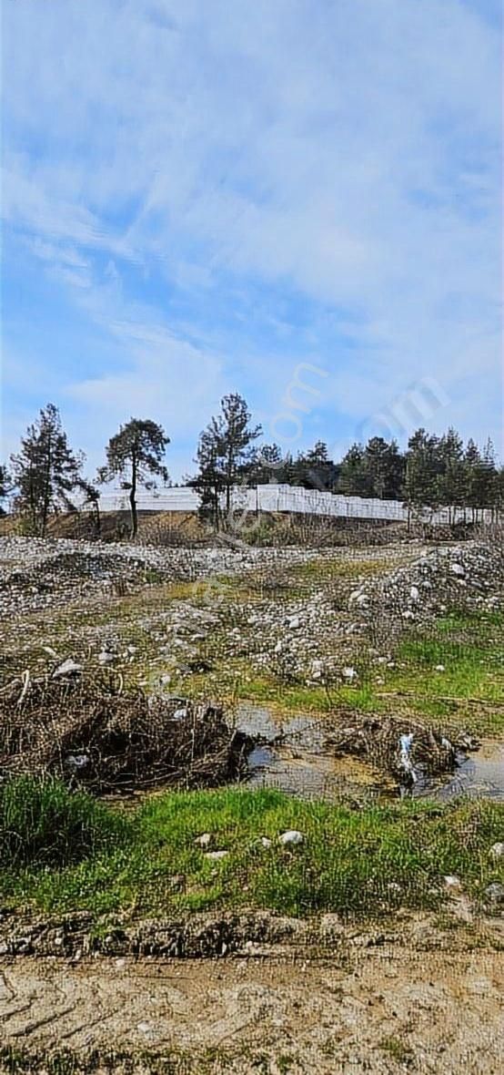 Kaş Dirgenler Satılık Tarla Kaş Dirgenler Yol Cepheli Sorunsuz Tarla Ekonomik Fiyattan