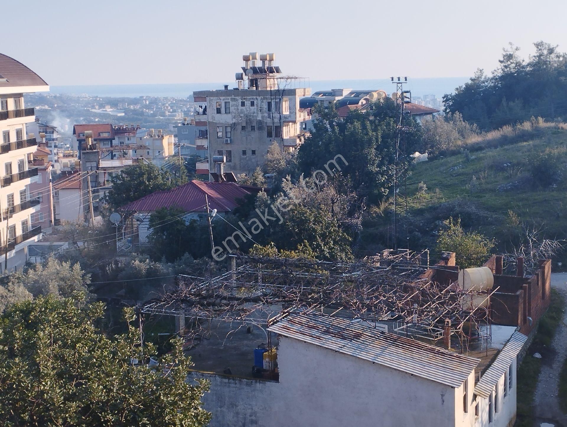 Alanya Çıplaklı Satılık Daire Alanya Çıplaklı Mah Satılık Daire