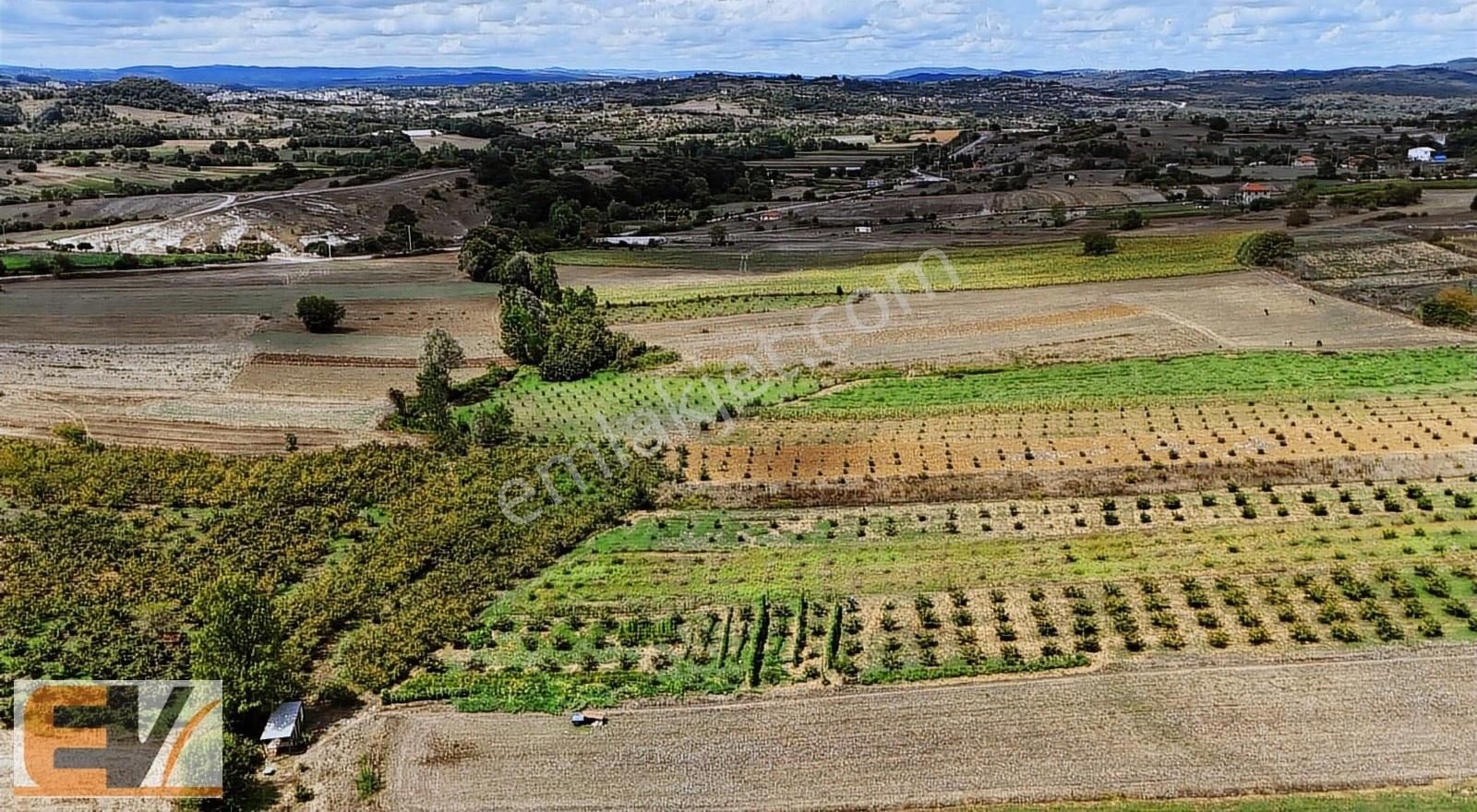 Kandıra Alaybey Satılık Tarla Kandıra Alaybey(duraçali) De 971 M2 Satılık Tarla