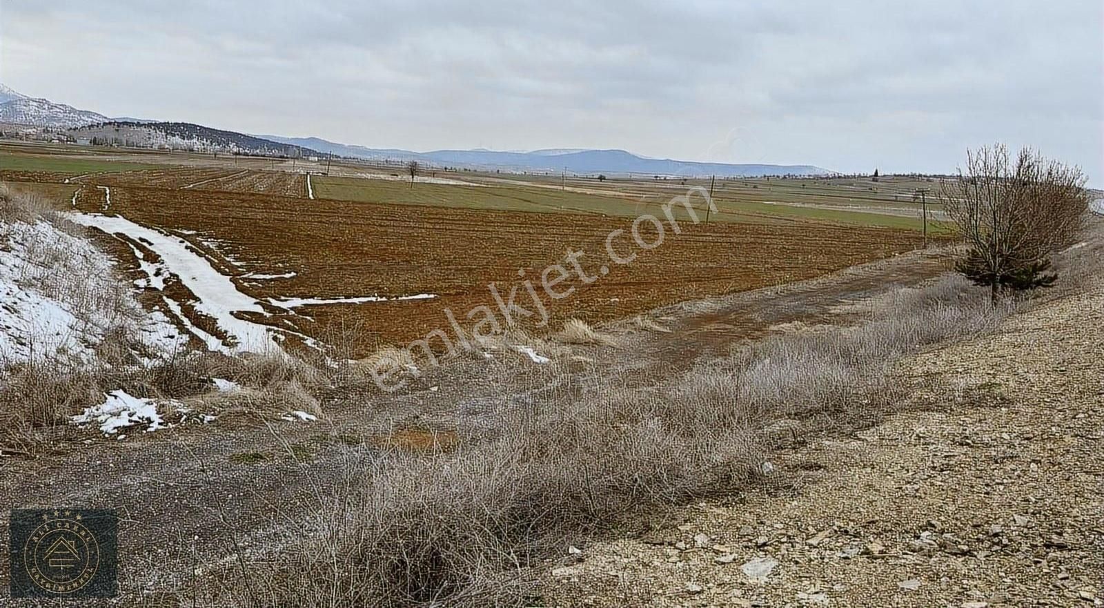 Seydişehir Kavak Satılık Tarla Seydişehir - Beyşehir Yoluna Sıfır Yatırımlık Tarla