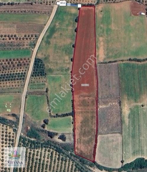 Düz Ovada Verimli Sulu Tarla Ve Zeytinlik 15.421 M2 - Görsel 2