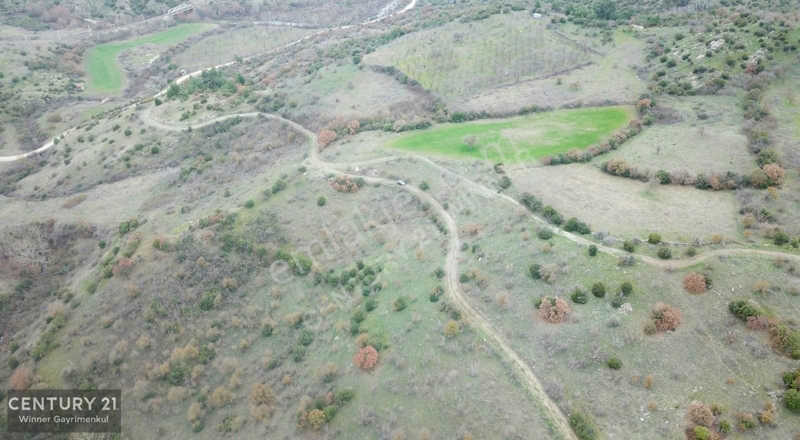 Kepsut Nusret Satılık Tarla C21 Winner Kepsut Nusret Köyü 4.349m2 Satılık Tarla