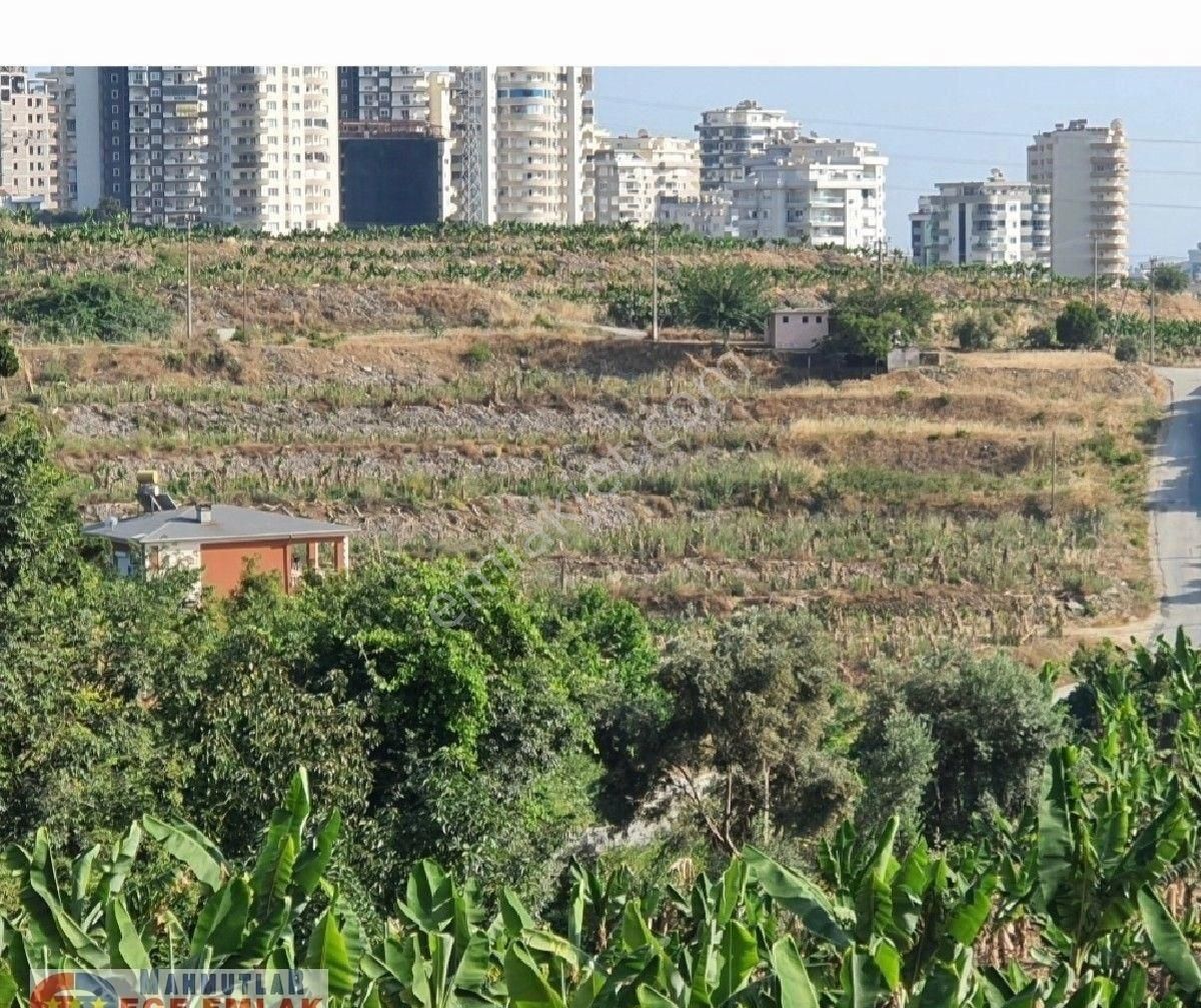 Alanya Mahmutlar Satılık Konut İmarlı Alanya Mahmutlar Yayla Yolundan 665 M2 İmarlı Arsa