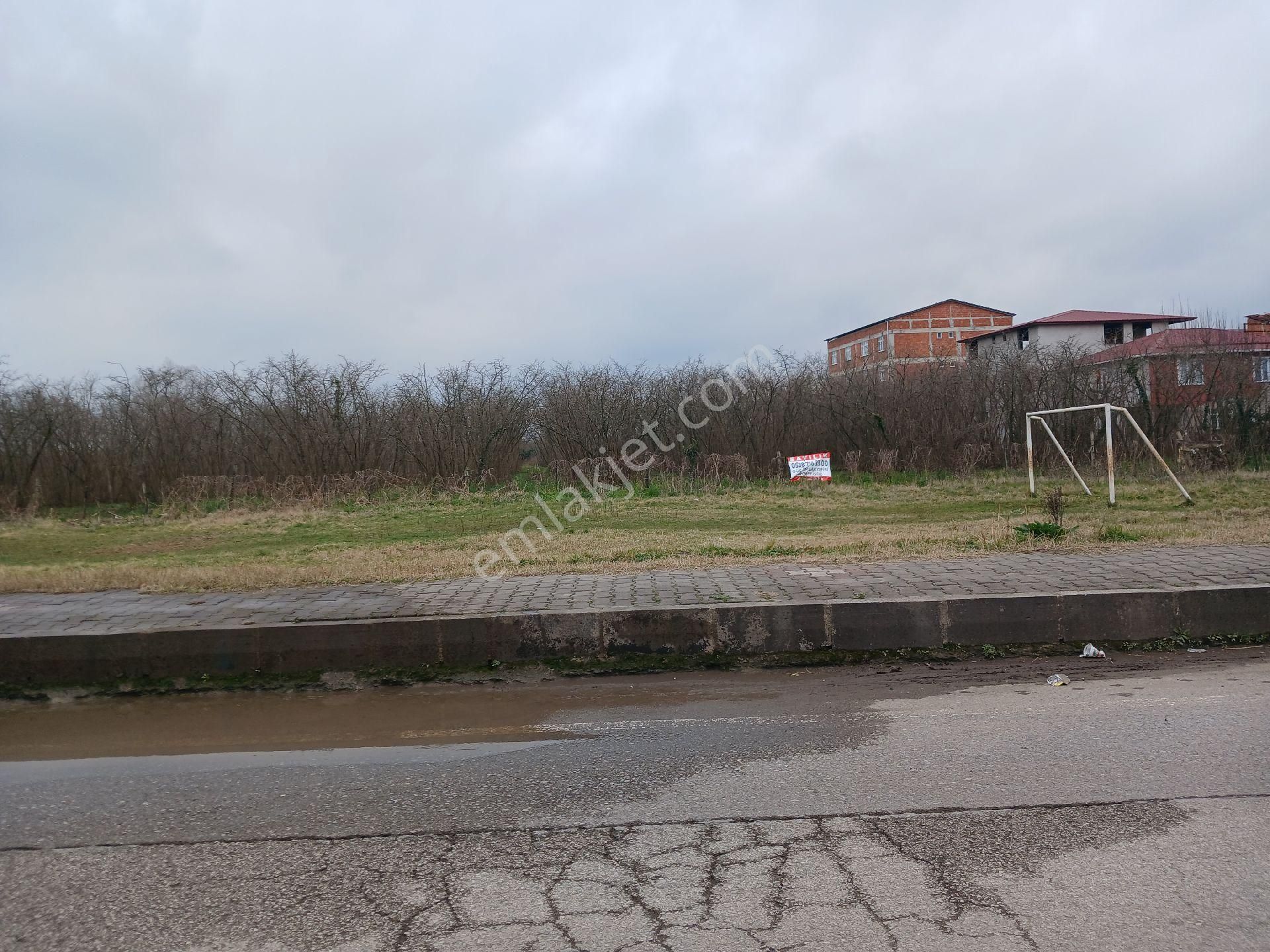 Satılık Tarla - Görsel 2