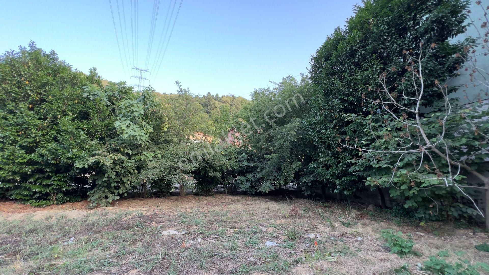 Beykoz'da 960.m2 Arsalı Satıılık Müstakil Ev - Görsel 18