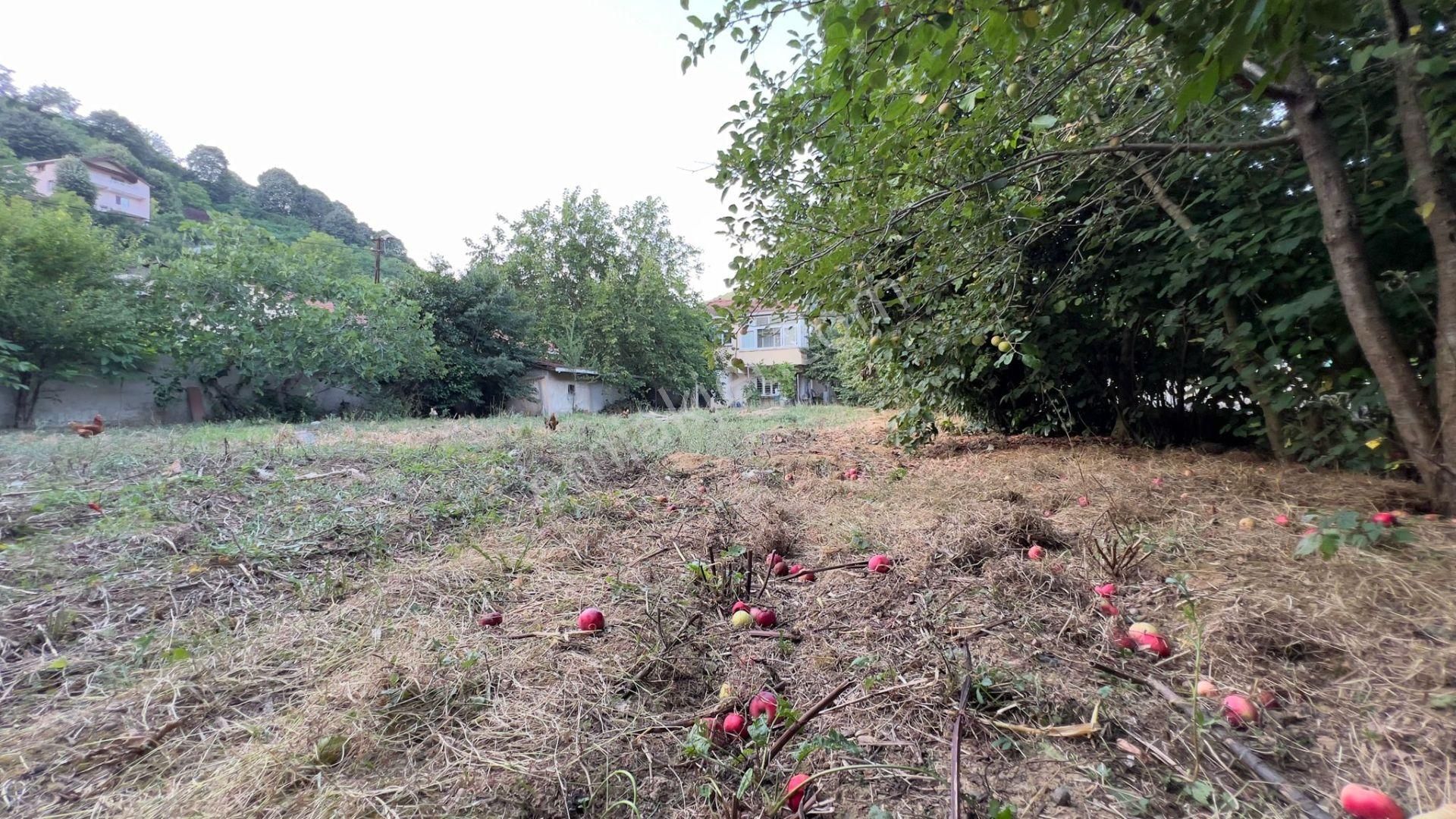 Beykoz'da 960.m2 Arsalı Satıılık Müstakil Ev - Görsel 17