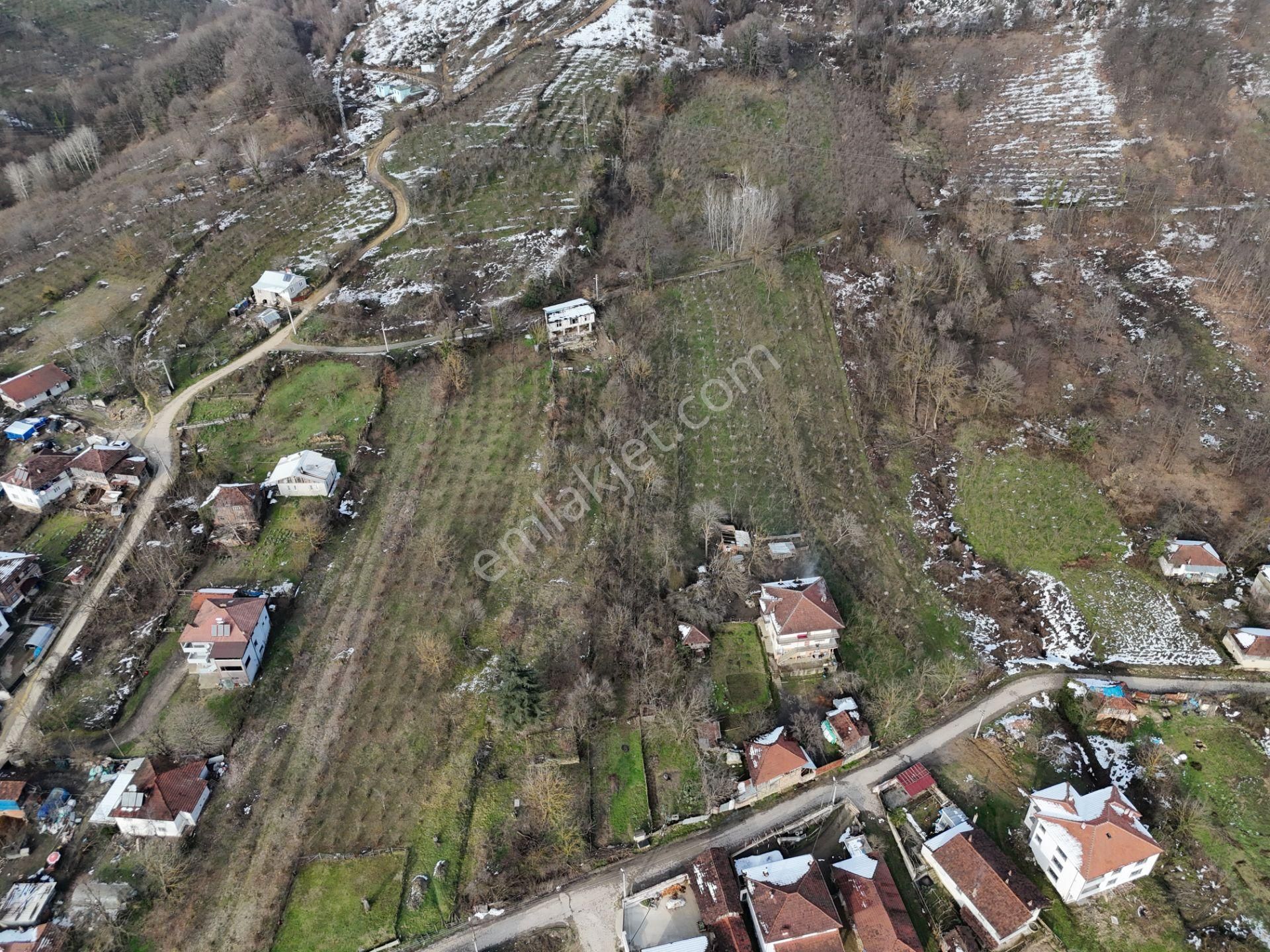 Düzce Merkez Düz Köyü Satılık Bağ & Bahçe Epa Uğur'dan Düzköyde Yerleşik Alan İçi Satılık Fındıklık