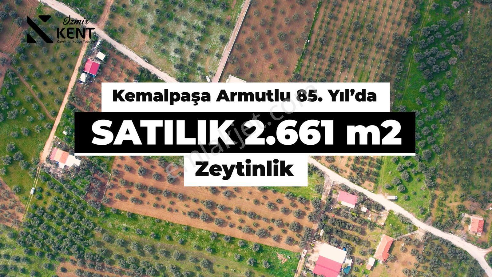 Kemalpaşa Armutlu Satılık 2.661 M2 Zeytinlik - Görsel 24