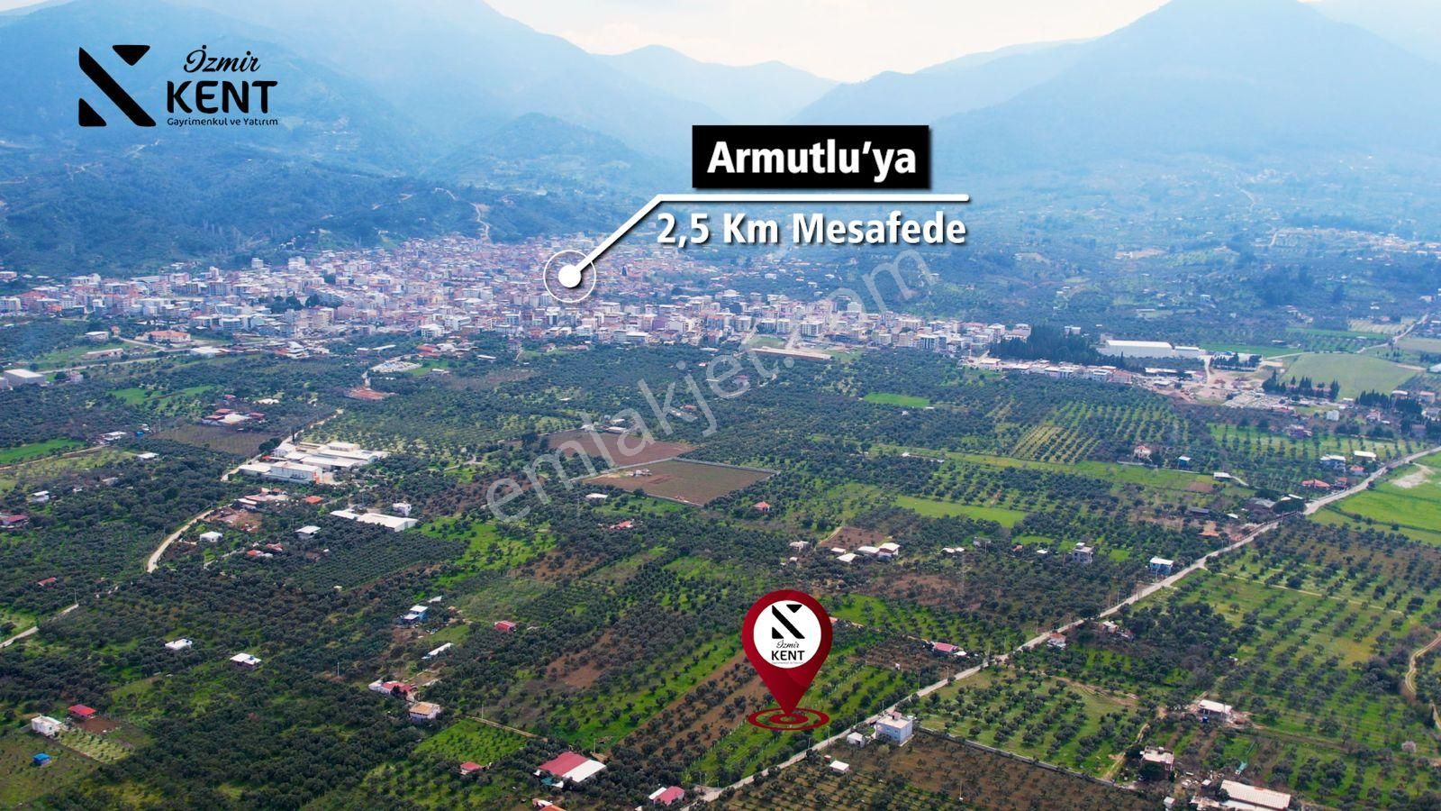 Kemalpaşa Armutlu Satılık 2.661 M2 Zeytinlik - Görsel 7
