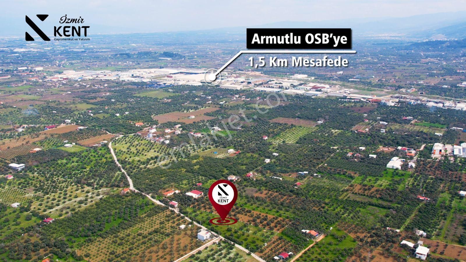 Kemalpaşa Armutlu Satılık 2.661 M2 Zeytinlik - Görsel 12