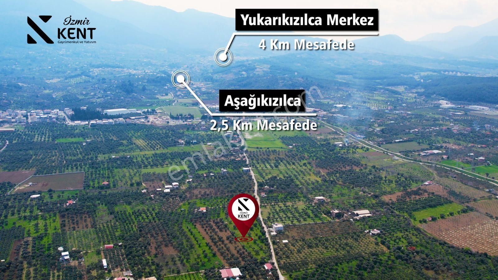 Kemalpaşa Armutlu Satılık 2.661 M2 Zeytinlik - Görsel 9