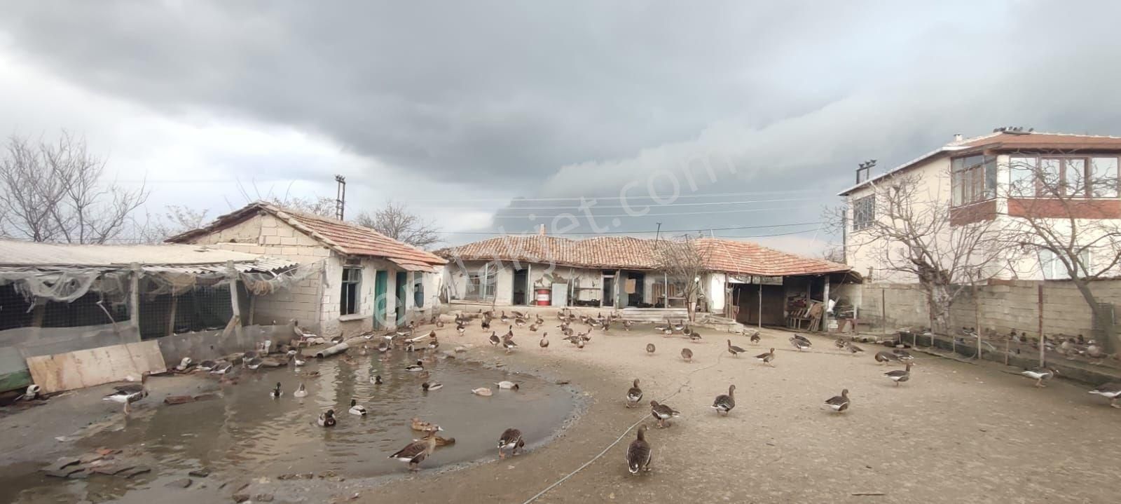 Hayrabolu Lahna Satılık Köy Evi Satılık Köy Yeri