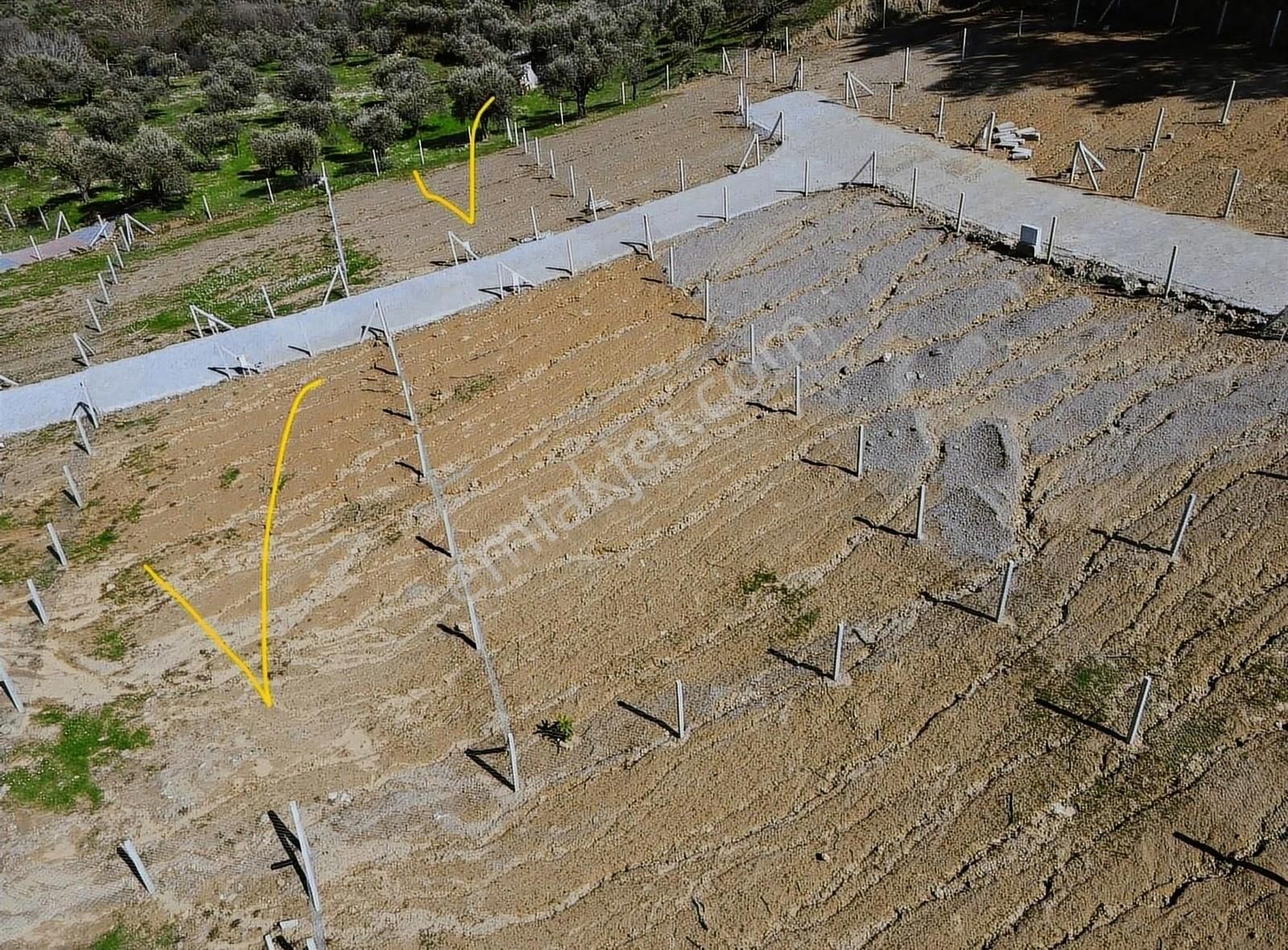 Kemalpaşa Yukarı Kızılcada Köye 1 Km Mesafede 303m² Araziler - Görsel 5