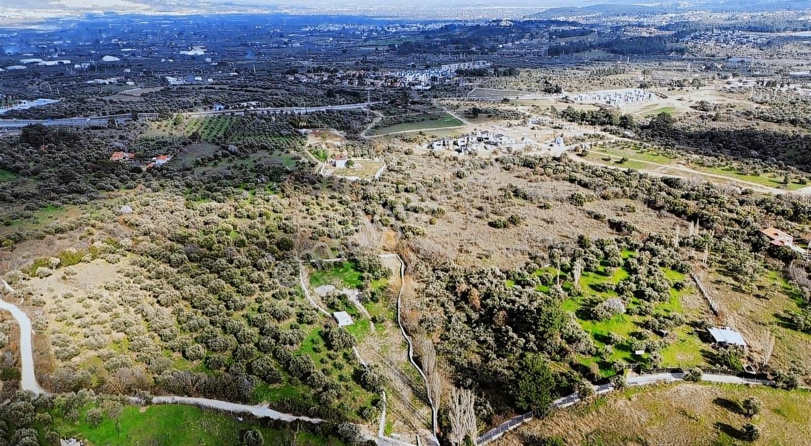 Kemalpaşaya Çok Yakın Konumda Soğukpınar Tapulu 400 M² Araziler - Görsel 4