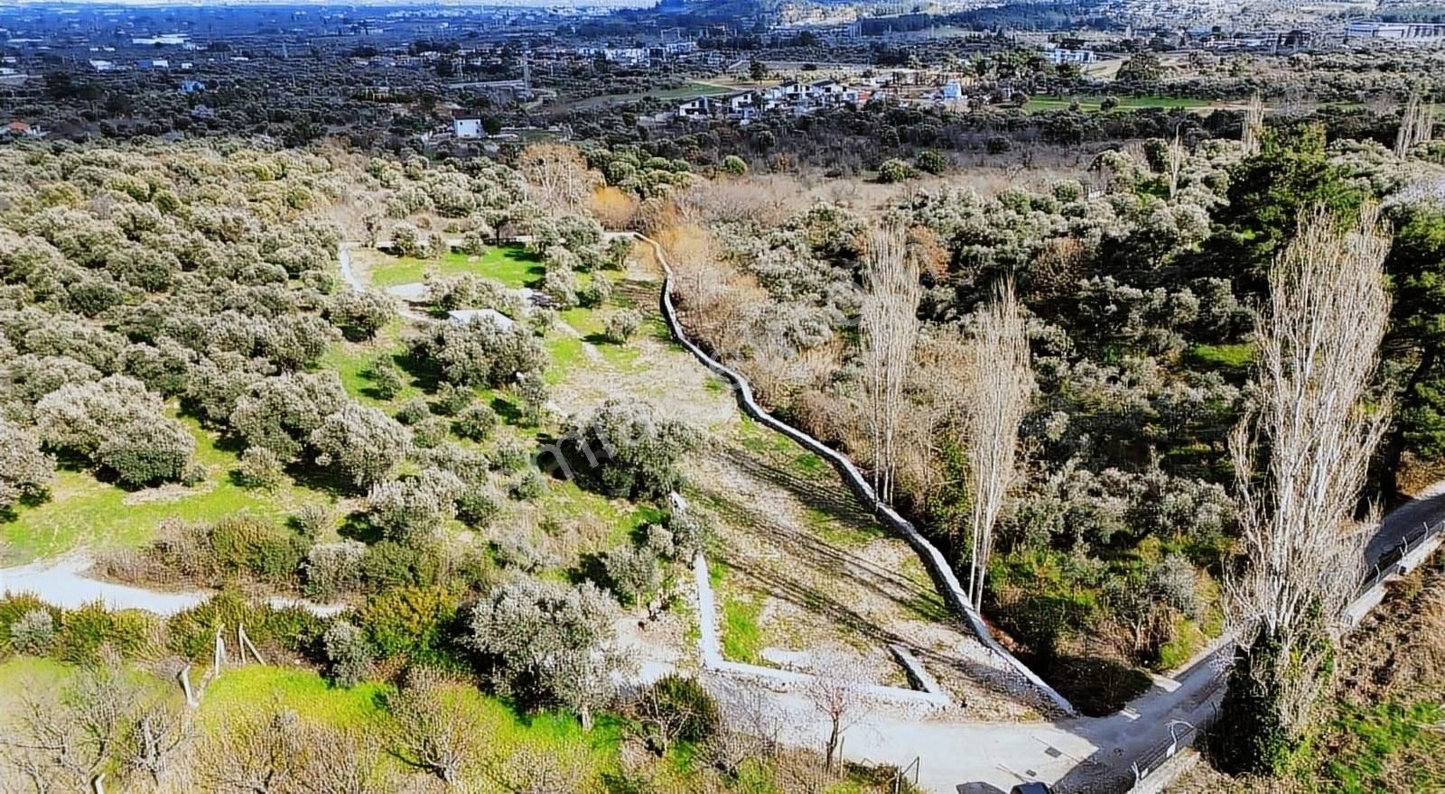 Kemalpaşaya Çok Yakın Konumda Soğukpınar Tapulu 400 M² Araziler - Görsel 3