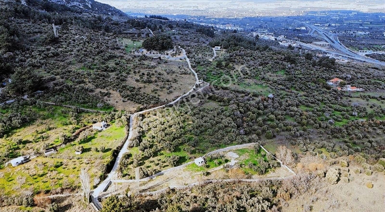 Kemalpaşaya Çok Yakın Konumda Soğukpınar Tapulu 400 M² Araziler - Görsel 2