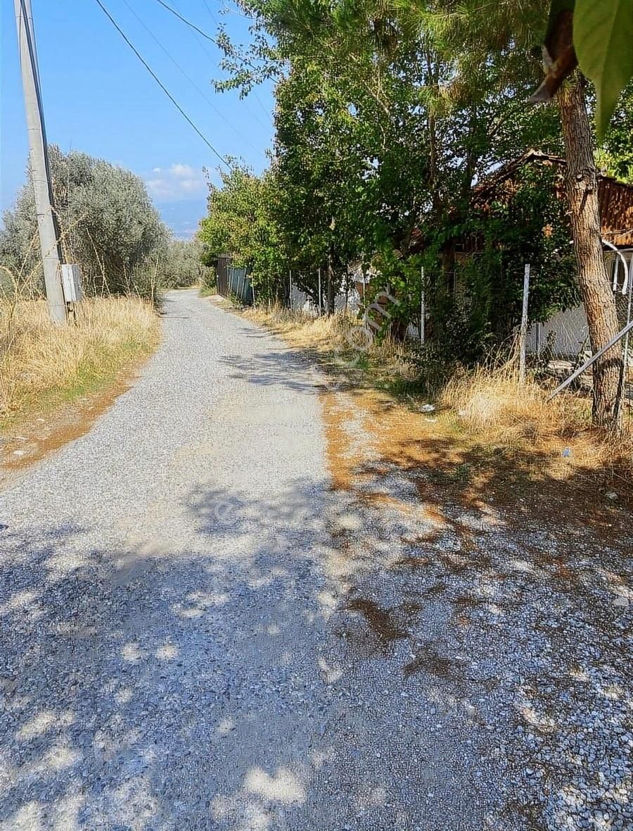 Kemalpaşa Ören Kurulu Düzen Satılık 1256m² Müstakil Parsel Bahçe - Görsel 3