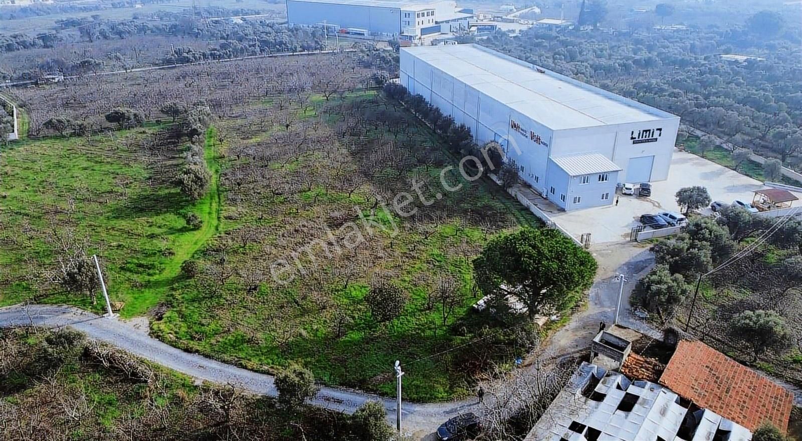 Kemalpaşa Kızılüzümde Depo Ruhsatına Uygun Satılık 6.039m² Arazi - Görsel 3