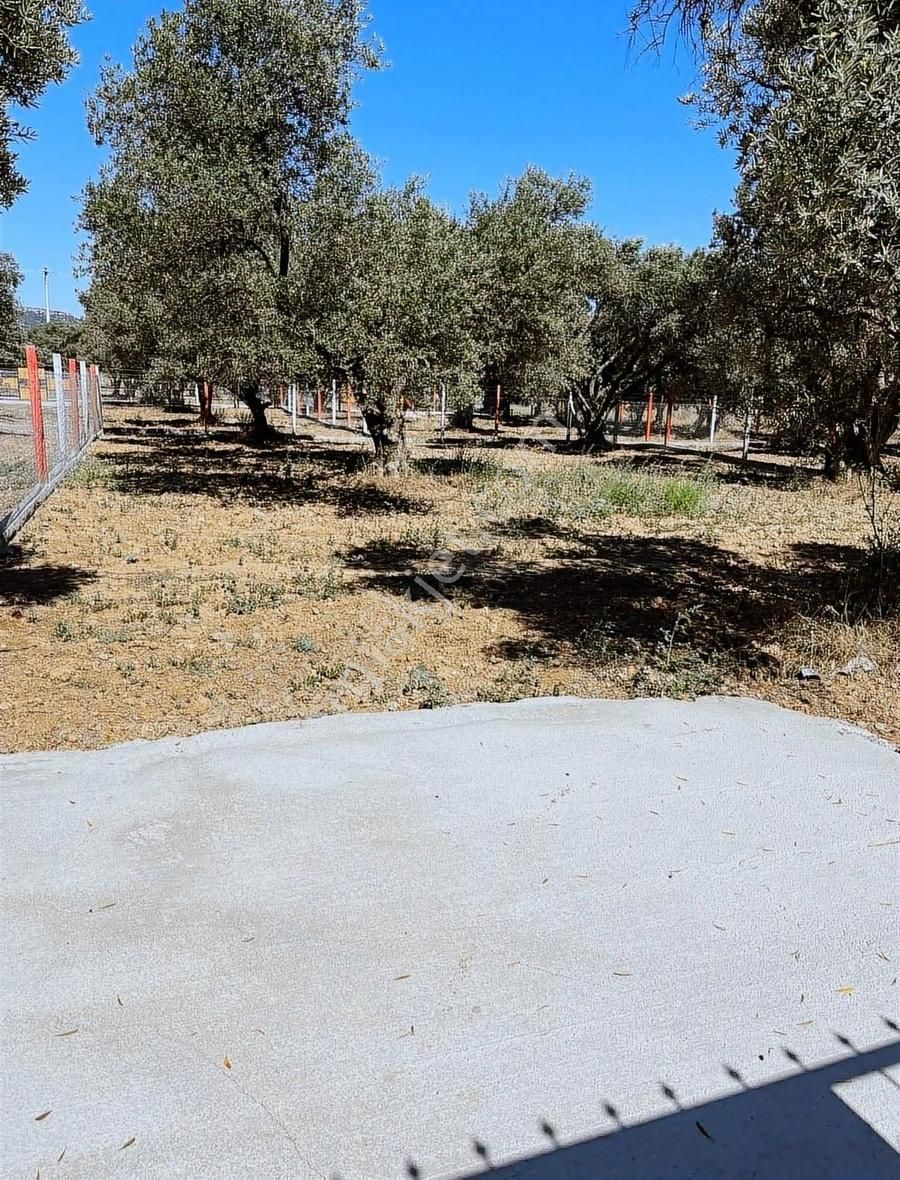 Kemalpaşa Sütçüler'de Araç Takaslı 512m2 Paylı Mülkiyet Bahçe ! - Görsel 5