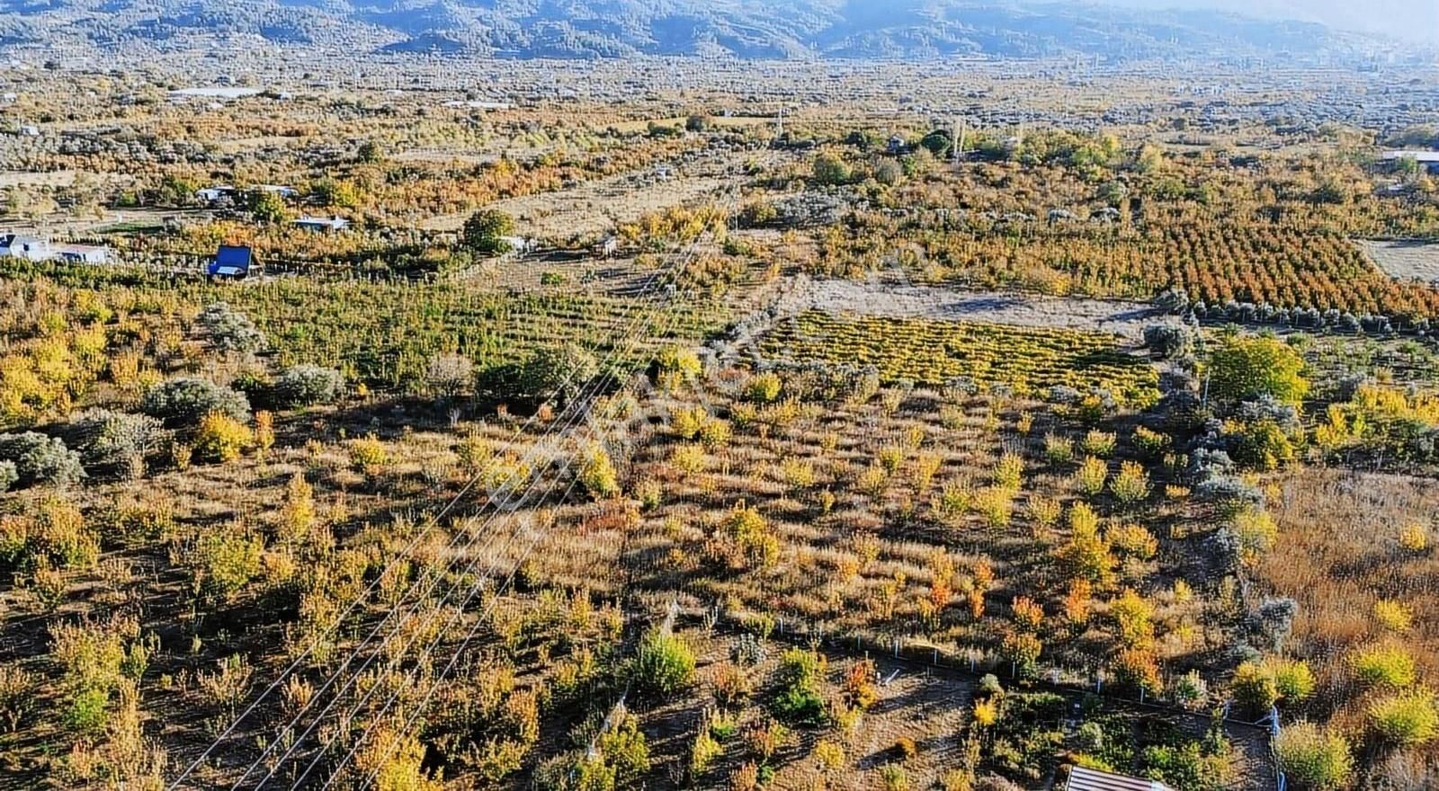 Armutlu Hürriyet Merkeze Yakın Satılık 7.087 M² Müstakil Parsel - Görsel 5