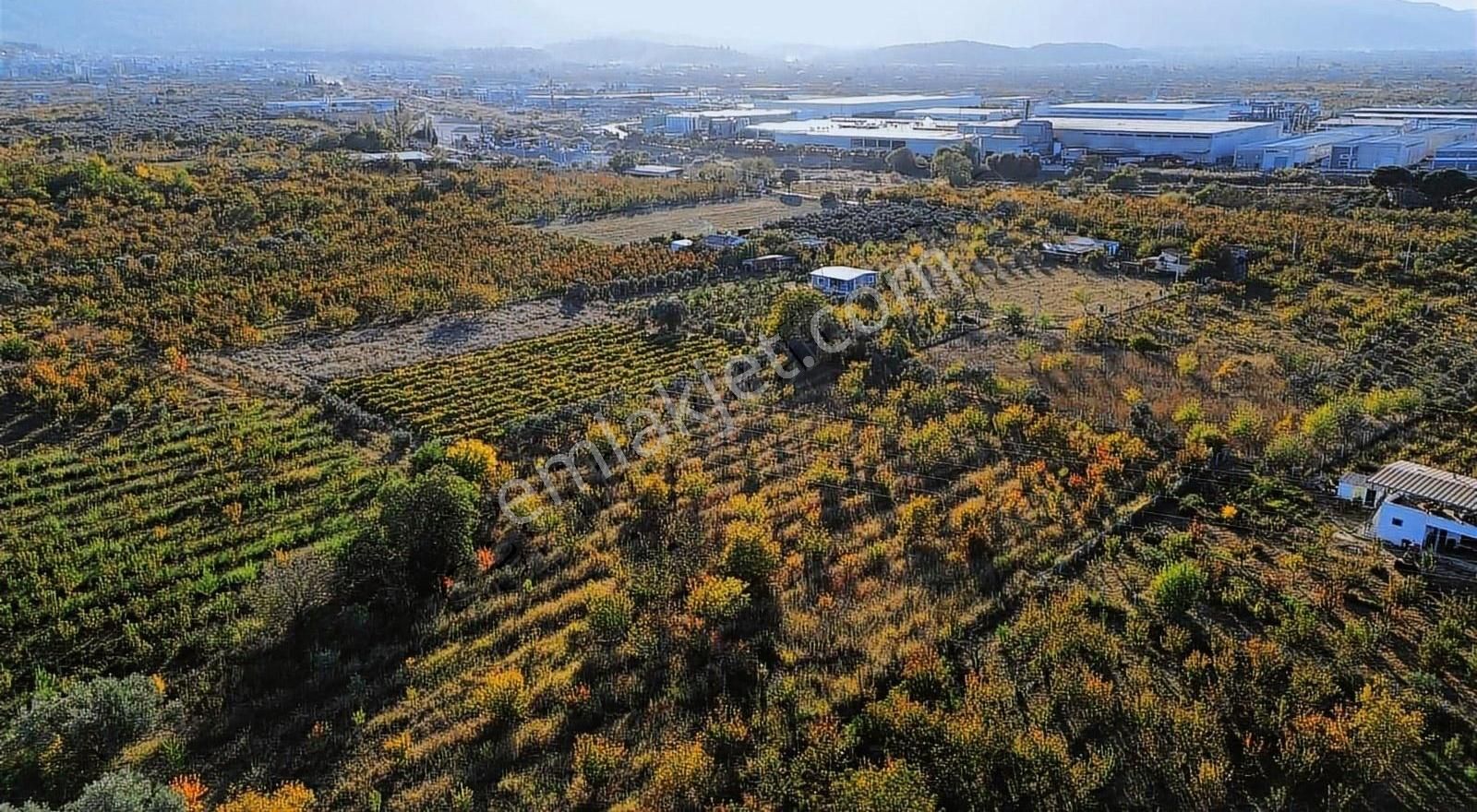 Armutlu Hürriyet Merkeze Yakın Satılık 7.087 M² Müstakil Parsel - Görsel 4